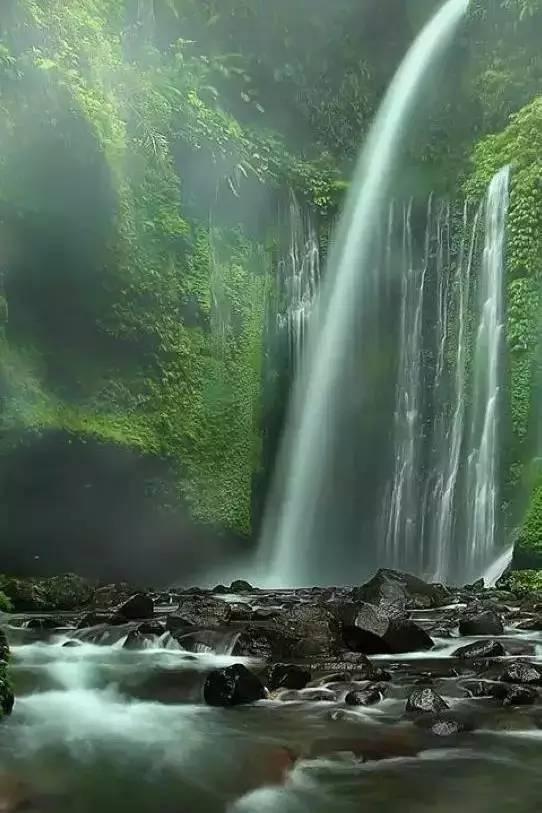 嘉日单词