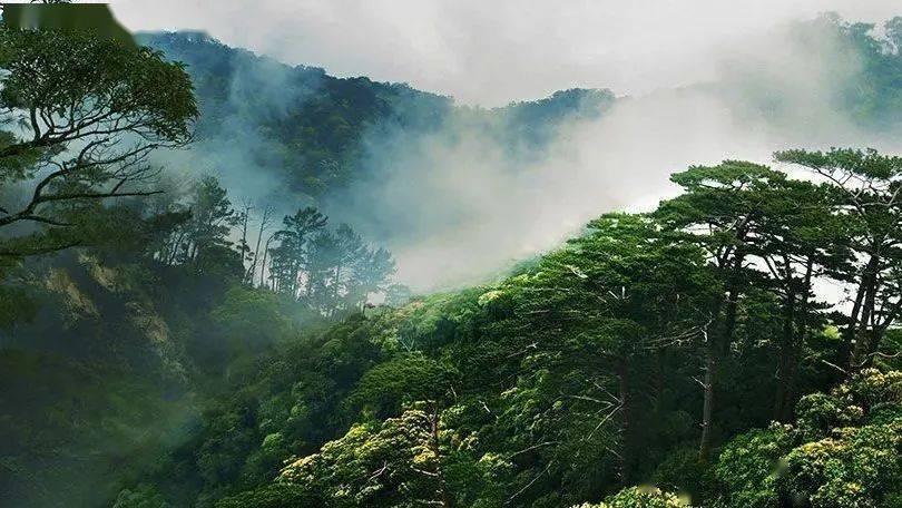 大奸大恶褚禄山,知恩图报禄球儿,雪中悍刀行饱受争议的褚禄山