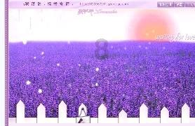 救援卡通熊仔