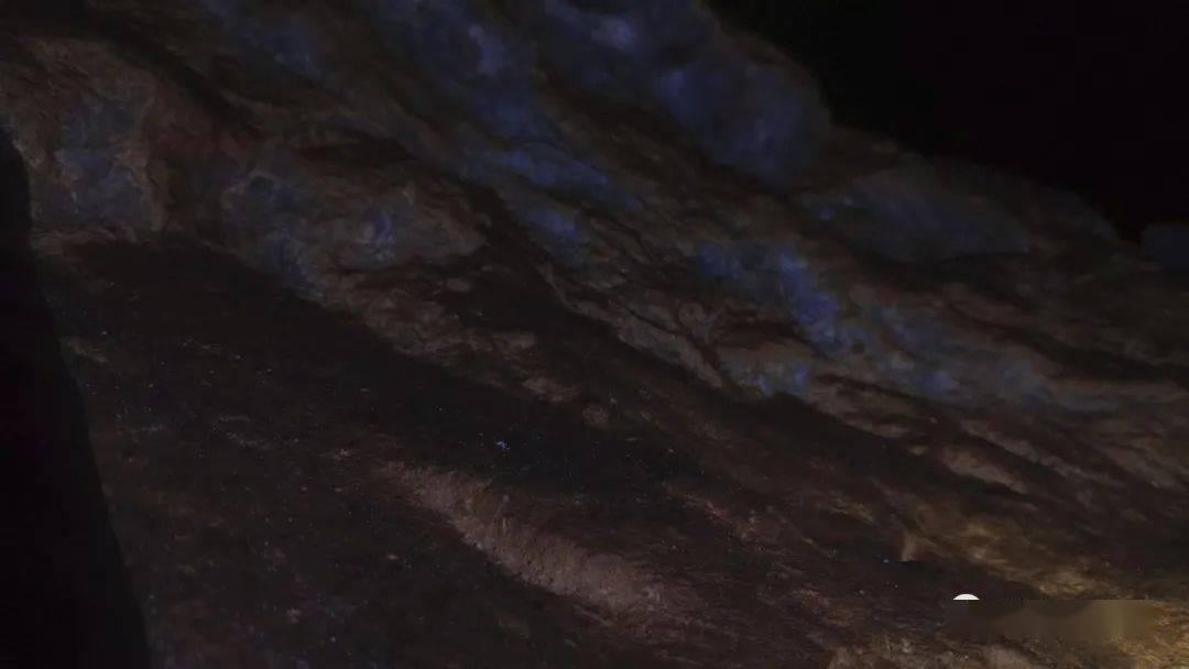 史小坑的爆笑生活10