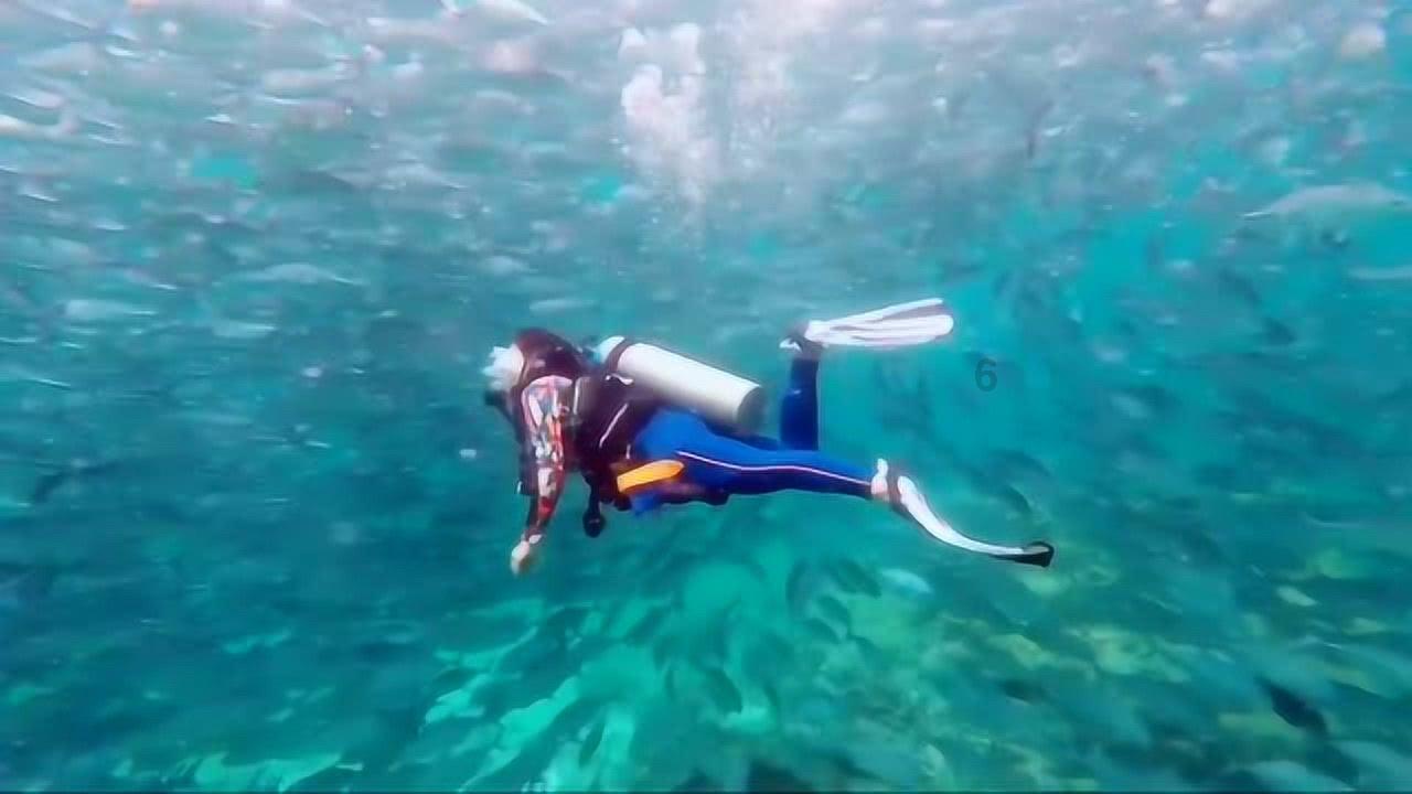 博主:前大连人球员王振澳将加盟上海海港