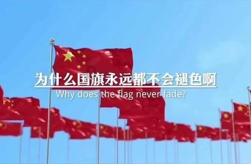 奥利维亚收养猫