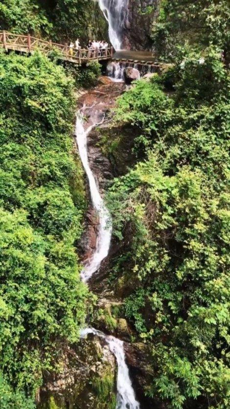 纱非纱、花非花,频繁“出圈”的德化白瓷把细节之美拿捏住了