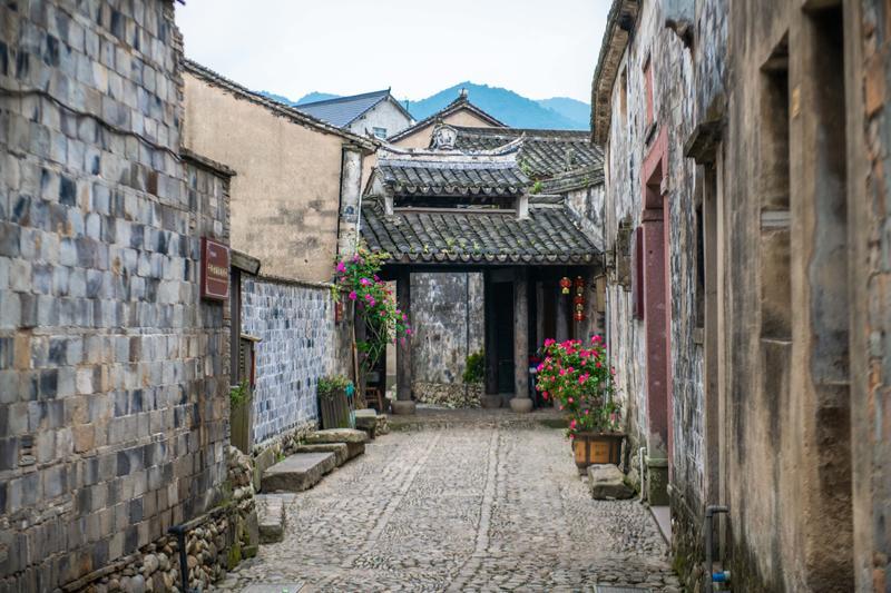 女巫的约定