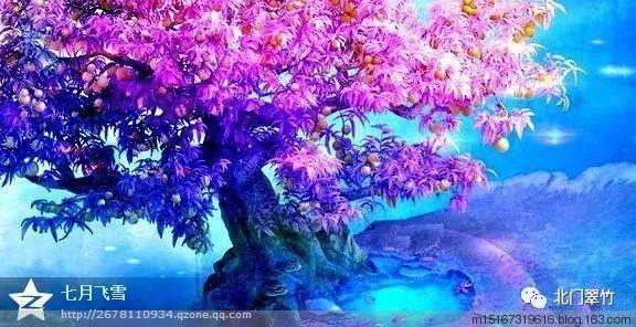 救援受困的鬃狼