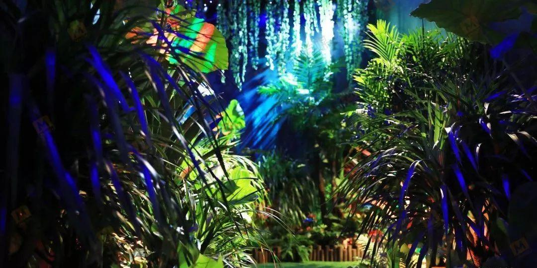 杨紫又打出现偶“王炸”剧了！开播5天夺周榜第一，连追4集收不住
